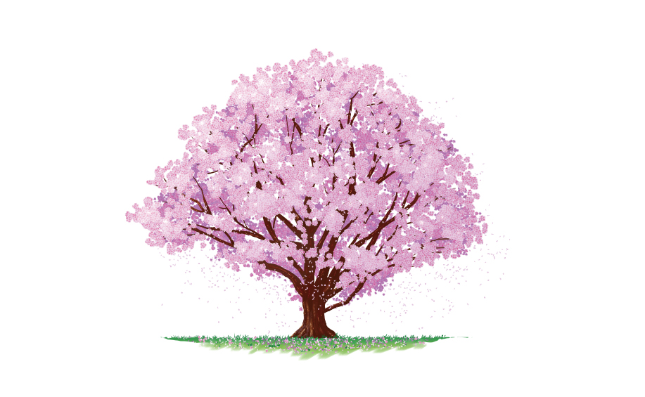 レンタル袴に描かれる桜の柄について