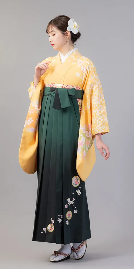 レンタル着物P00054×袴BNT501